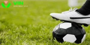 Nhà cái ra cách nhận biết kèo dụ lệch so với thị trường